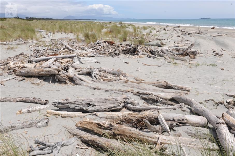 Haast Beach